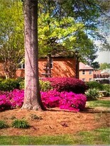 707 Beaufort Cir in Duluth, GA - Building Photo