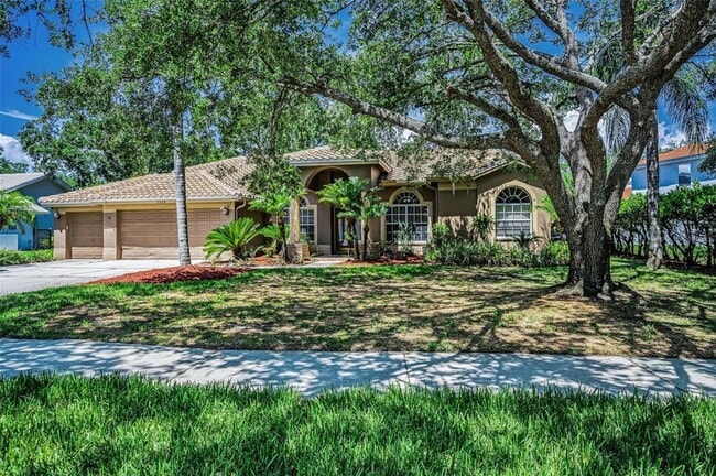 1516 E Lake Woodlands Pkwy in Oldsmar, FL - Building Photo - Building Photo