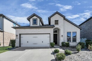 17409 Turtleweed Ln in Shenandoah, TX - Building Photo