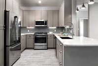 Premier Scheme Kitchen with Stainless Steel Appliances - Avalon at Chestnut Hill Apartments in Boston, Massachusetts