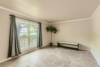 Gorgeous San Antonio home with large backy in San Antonio, TX - Building Photo - Building Photo