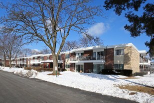 Cameo Terrace North in Wheeling, IL - Building Photo