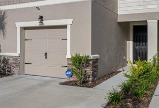 6026 Grand Sonata Ave in Lutz, FL - Building Photo - Building Photo