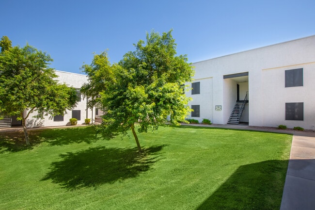 The Avi in Tempe, AZ - Foto de edificio - Building Photo