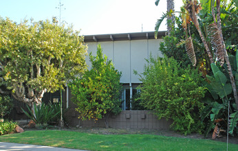 3526 Jasmine Ave in Los Angeles, CA - Building Photo - Other