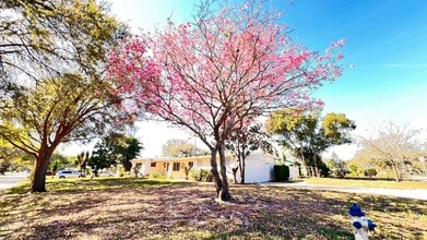 1516 Dove Dr in Orlando, FL - Building Photo - Building Photo