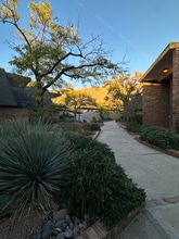 4800 N Stanton St in El Paso, TX - Building Photo - Building Photo