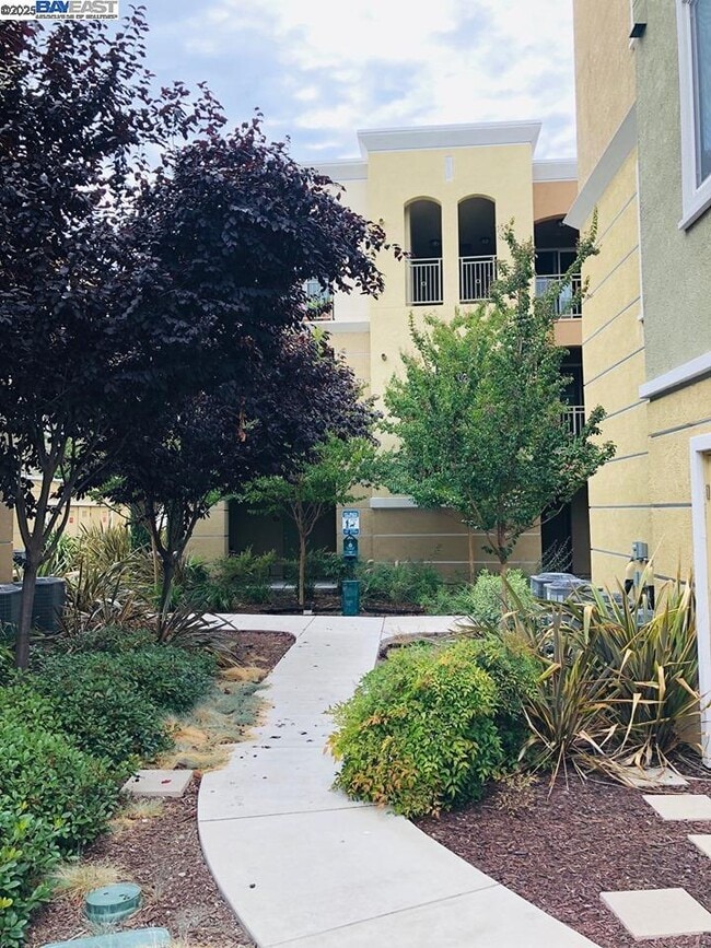 property at 4740 Norris Canyon Rd