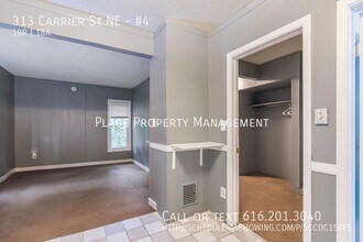 313 Carrier St NE in Grand Rapids, MI - Building Photo - Building Photo