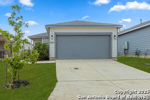 3833 Ivy Path in Saint Hedwig, TX - Building Photo