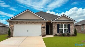 231 Jerrie Lynn Blvd in Meridianville, AL - Building Photo