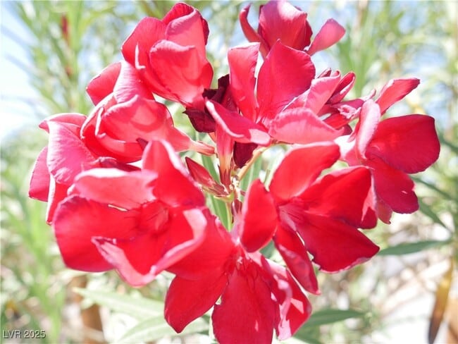 property at 6051 W Dewey Dr