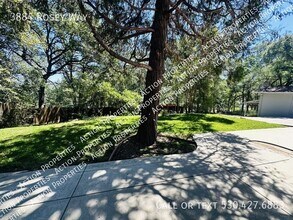 3884 Rosey Way in Placerville, CA - Building Photo - Building Photo