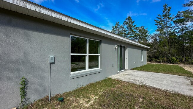 61 Fisher Way in Ocklawaha, FL - Building Photo - Building Photo