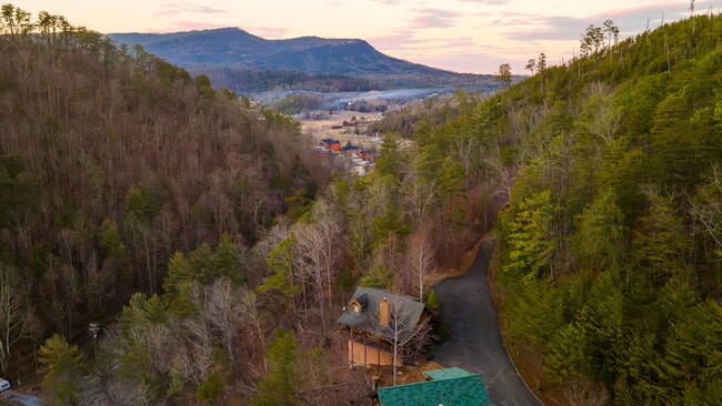 3202 Barry View Way in Pigeon Forge, TN - Building Photo - Building Photo