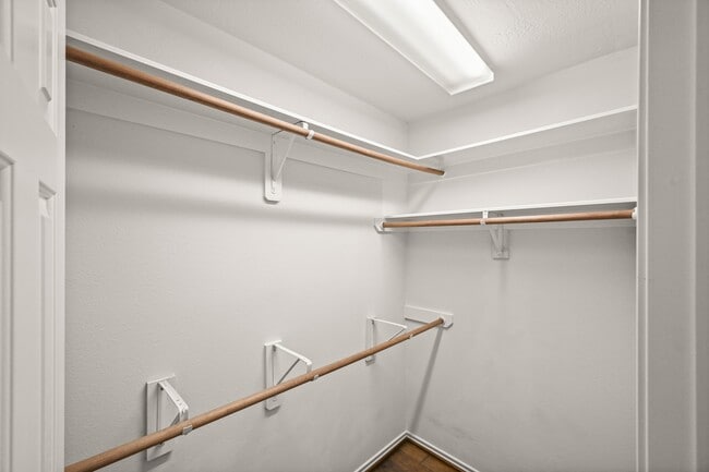 property at 18403 Lost Maples Ct