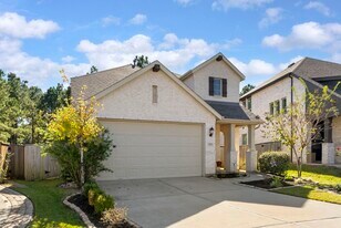 254 Aster View Ct in Montgomery, TX - Building Photo