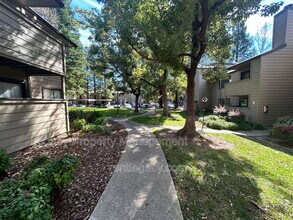 3715 Tallyho Dr in Sacramento, CA - Building Photo - Building Photo