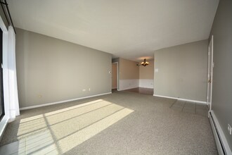 7335 Tiffany Dr in Orland Park, IL - Foto de edificio - Building Photo