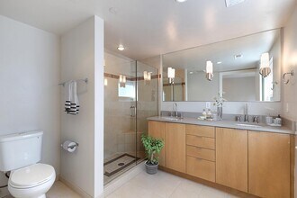 Washington Street Townhomes in Denver, CO - Building Photo - Building Photo
