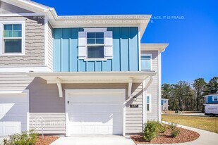 237 Sweet Lemon Ln in Orange Park, FL - Building Photo