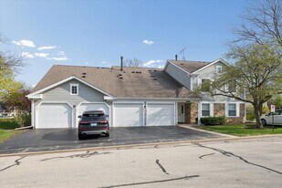 225 Thornapple Ct in Buffalo Grove, IL - Building Photo