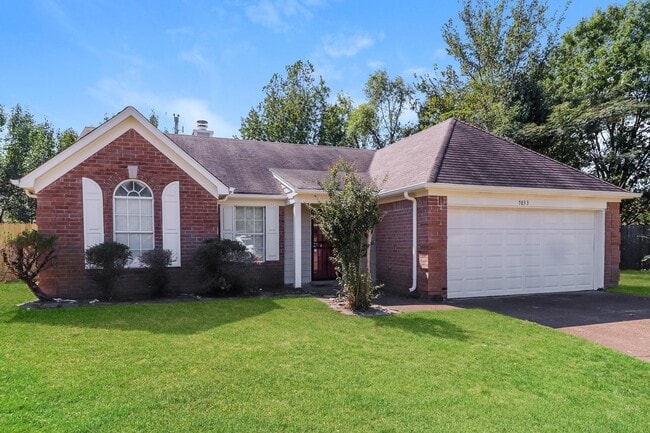 7033 Ireland Dr in Cordova, TN - Building Photo - Building Photo