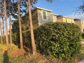 8406 Painted Turtle Way in Riverview, FL - Building Photo - Building Photo