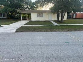 4478 Cynthia Ln in Spring Hill, FL - Building Photo