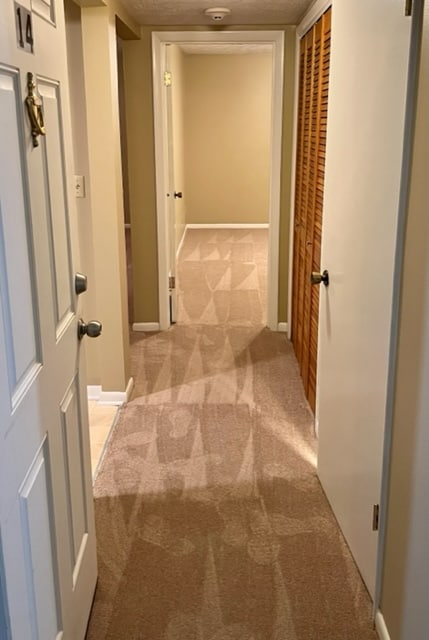 946 Madison Ave in Huntington, WV - Building Photo - Building Photo