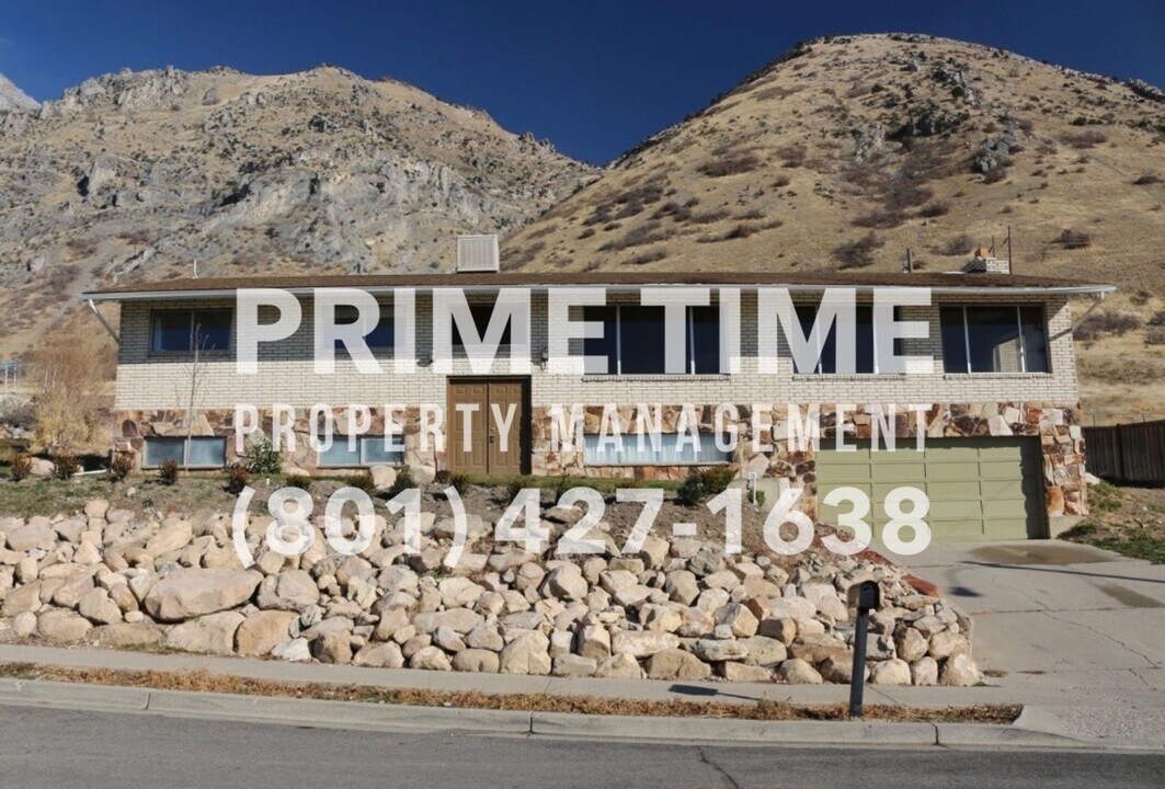 816 N 970 E in Springville, UT - Building Photo