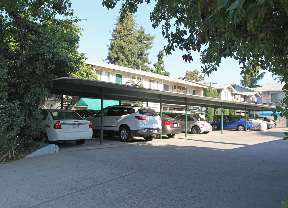 Bellflower Apartments in Lodi, CA - Building Photo