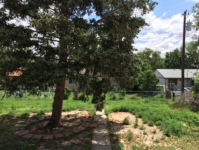 817 Sequoia Dr in Colorado Springs, CO - Building Photo - Building Photo