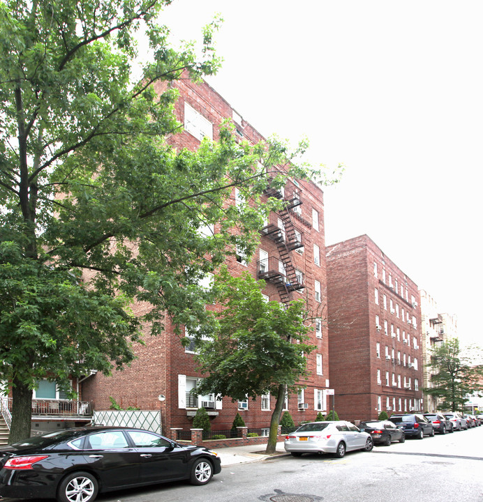 Lexington Arms in Brooklyn, NY - Building Photo