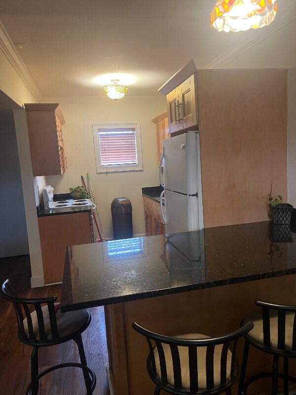 413 Swallow Dr in Miami Springs, FL - Foto de edificio - Building Photo