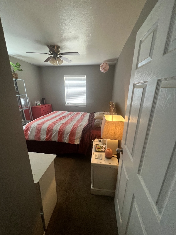 3926 Mehalia Dr in Dallas, TX - Foto de edificio - Building Photo