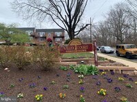 6901-29 Valley Ave photo'