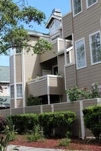 326 Treasure Island Dr in Belmont, CA - Building Photo - Building Photo