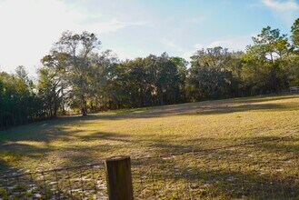 29205 Saddle Oaks Ln in Brooksville, FL - Foto de edificio - Building Photo