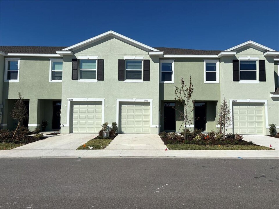 17481 Spanish Oak Lp in Land O Lakes, FL - Building Photo