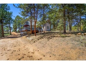 832 Spring Valley Dr in Divide, CO - Building Photo - Building Photo