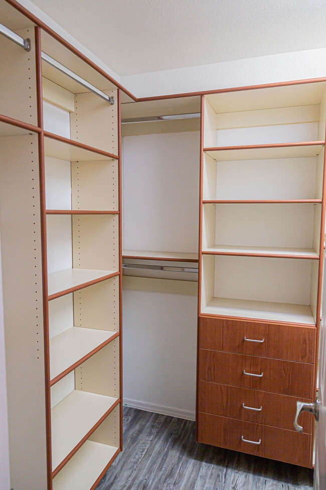 5436 W Dove of Peace Dr in Marana, AZ - Building Photo - Building Photo