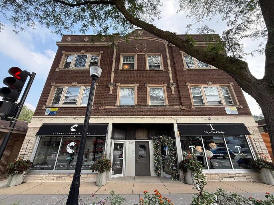 1046 Chicago Ave in Oak Park, IL - Building Photo