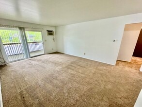 1100 W Michigan Ave in Ypsilanti, MI - Building Photo - Building Photo