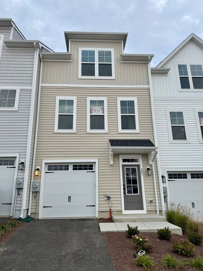 property at 203 Lane