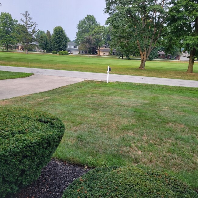 802 Wedgewood Dr in Erie, PA - Building Photo - Building Photo