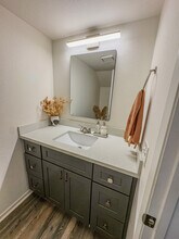 2520 Via Esparto in Carlsbad, CA - Building Photo - Building Photo