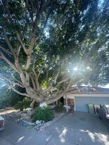 6049 W Grandview Rd in Glendale, AZ - Building Photo