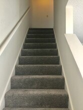 2407 Marsh Creek Ct in Virginia Beach, VA - Building Photo - Building Photo