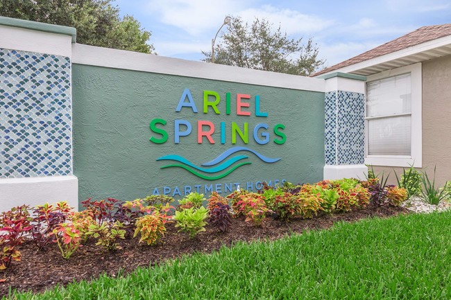 Ariel Springs photo'